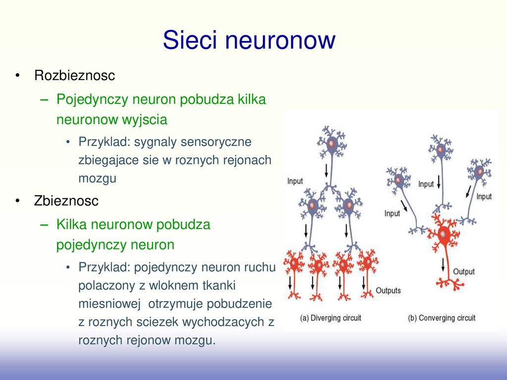 Wstep Do Sieci Neuronowych Ppt Pobierz